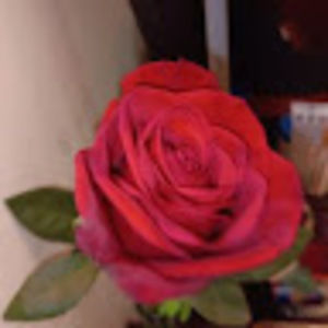 Meet your Posher, Doug